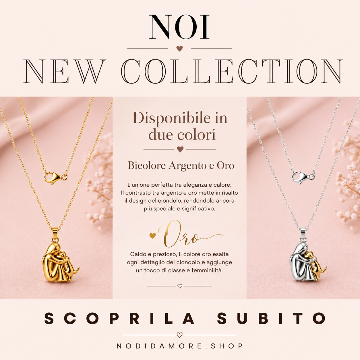 noi-collection
