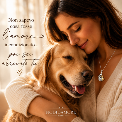 noi-collection