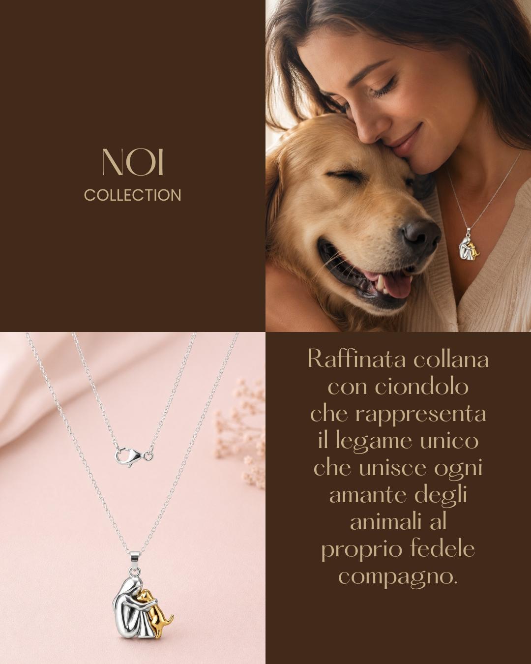 noi-collection