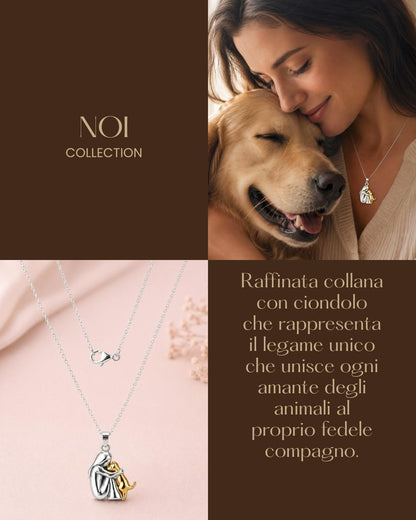 noi-collection